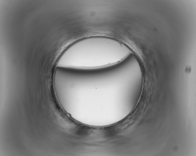 X0000092090107200709121134