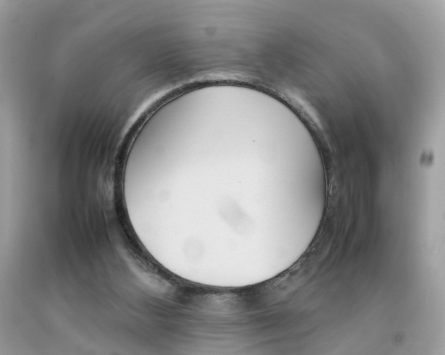 X0000092090108200709121134