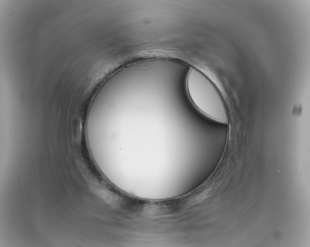X0000092090109200709121134