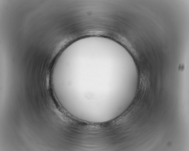 X0000092090110200709121134