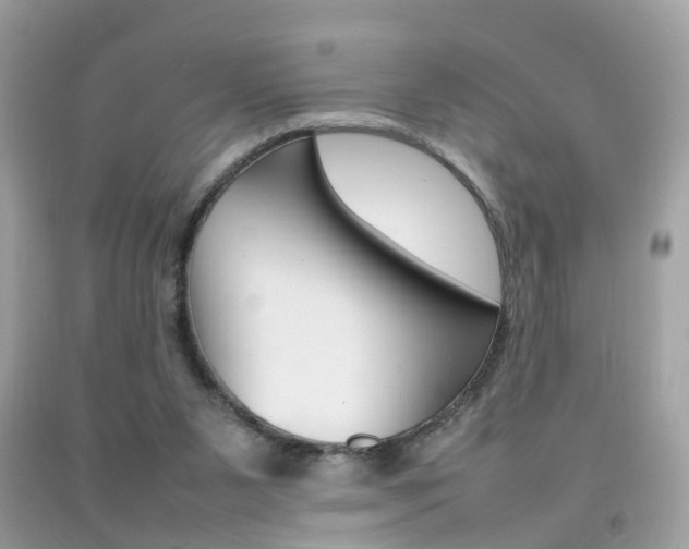 X0000092090111200709121134