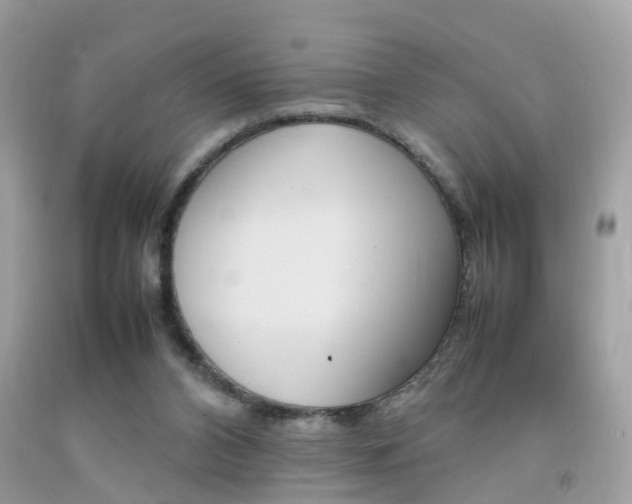 X0000092090112200709121134