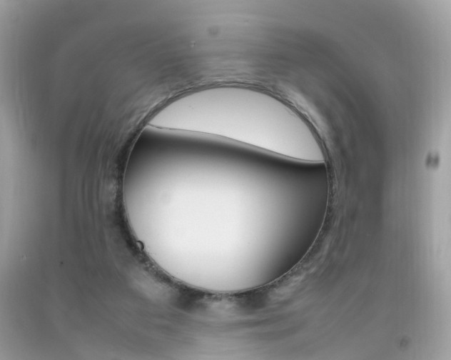 X0000092090113200709121134