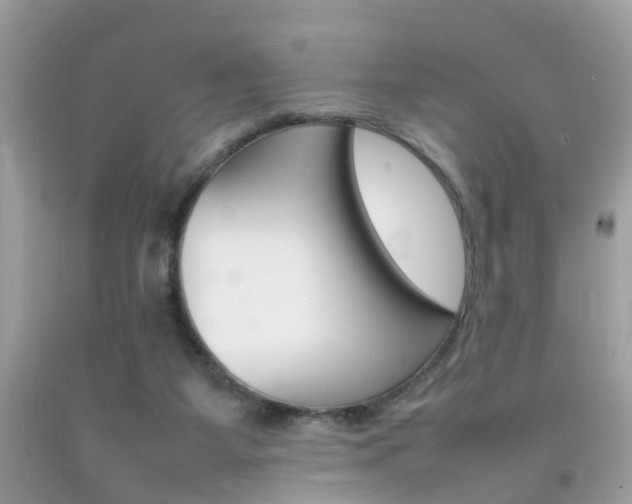 X0000092090115200709121134