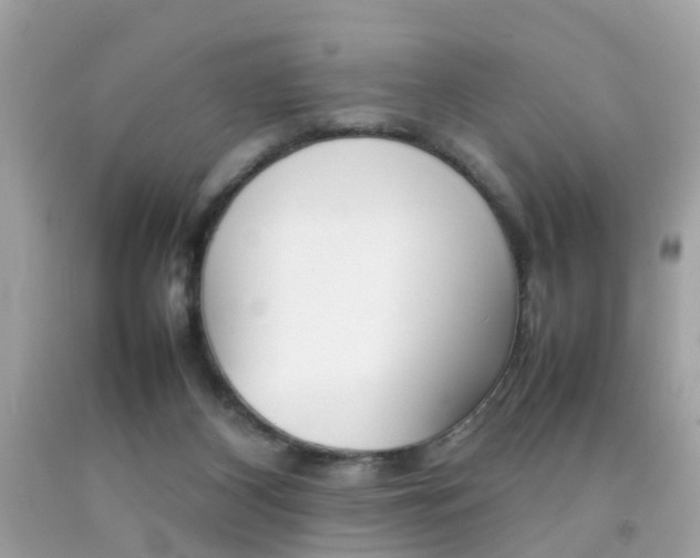 X0000092090116200709121134