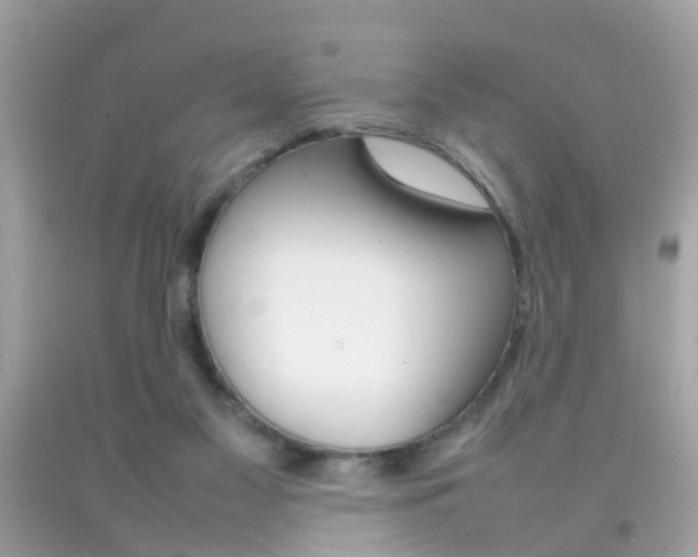 X0000092090117200709121134