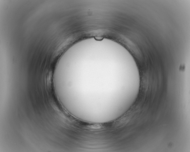 X0000092090118200709121134