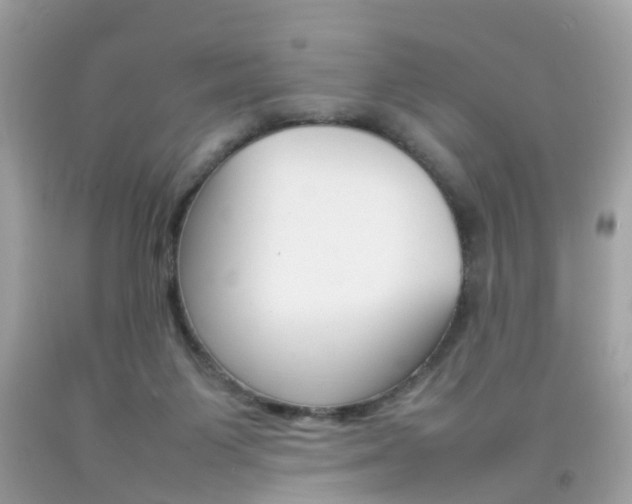 X0000092090119200709121134