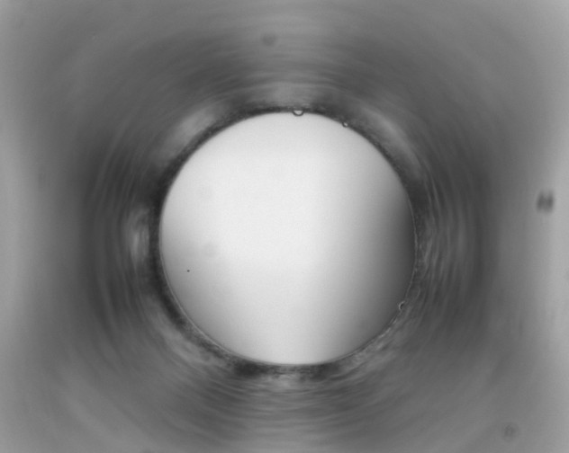 X0000092090120200709121134