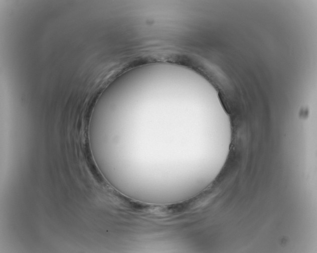 X0000092090121200709121134