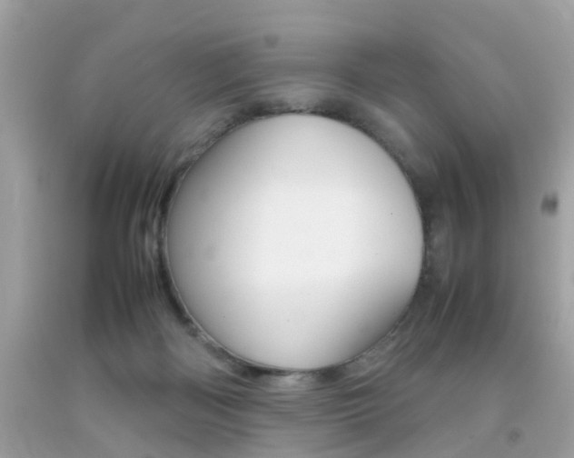 X0000092090122200709121134