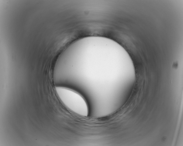 X0000092090123200709121134