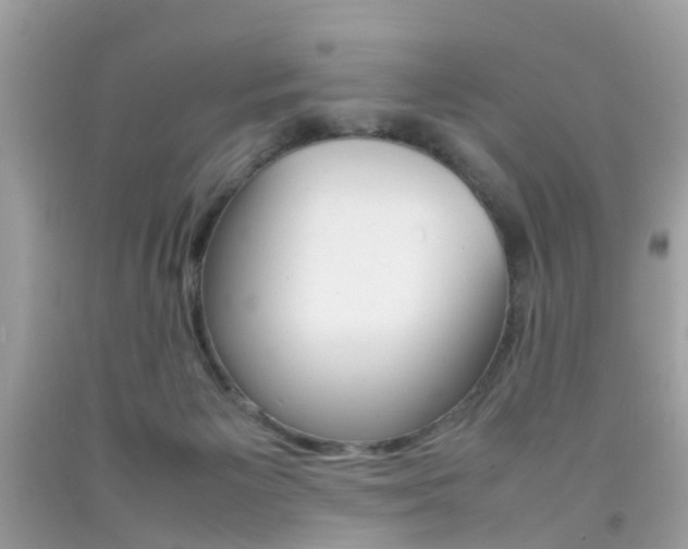 X0000092090125200709121134