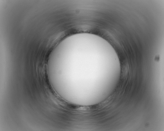 X0000092090126200709121134