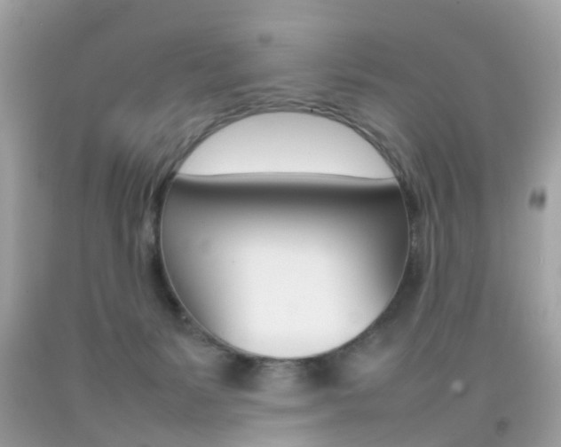 X0000092090127200709121134