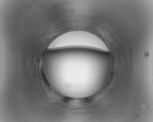 X0000092090129200709121134