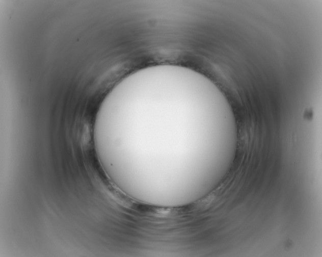 X0000092090130200709121134