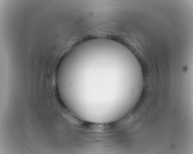 X0000092090131200709121134