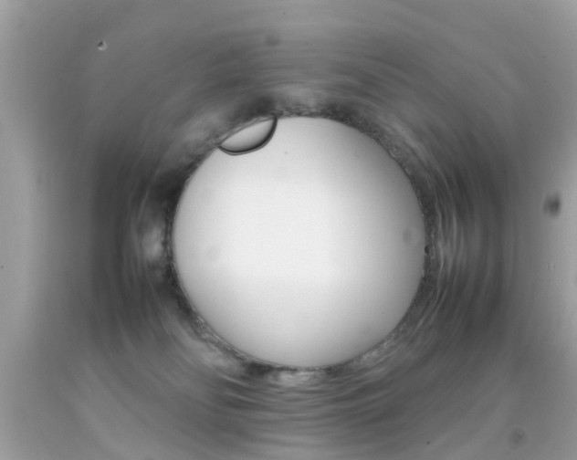 X0000092090134200709121134