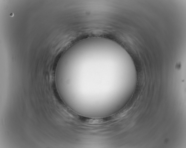 X0000092090135200709121134