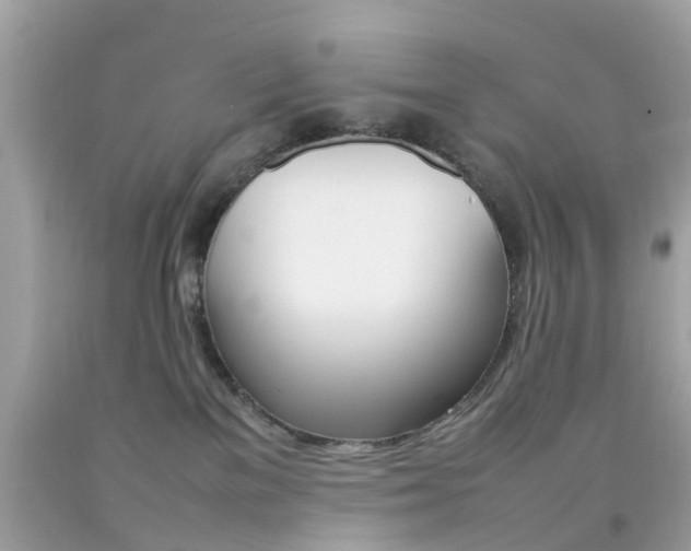 X0000092090137200709121134