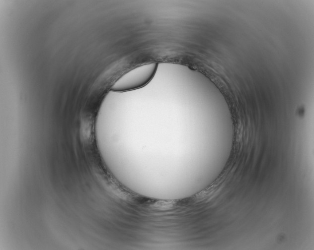 X0000092090138200709121134