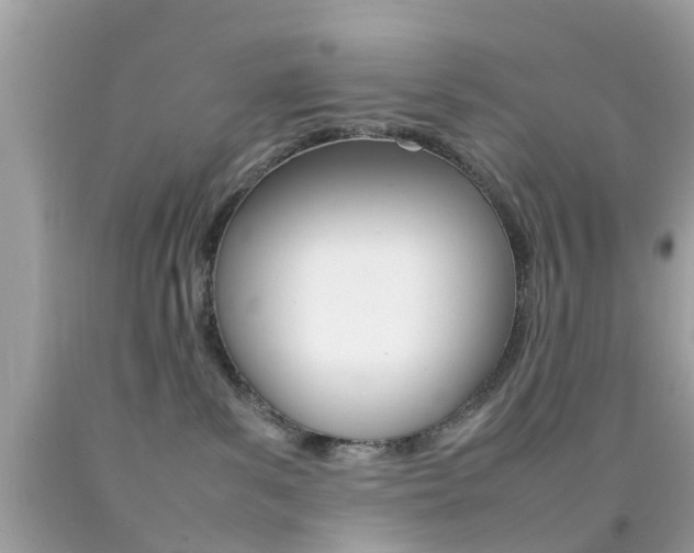 X0000092090139200709121134
