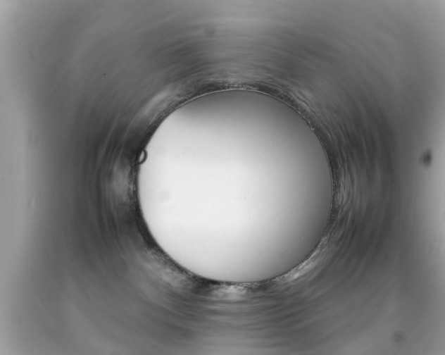 X0000092090140200709121134