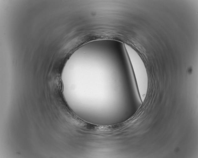 X0000092090141200709121134