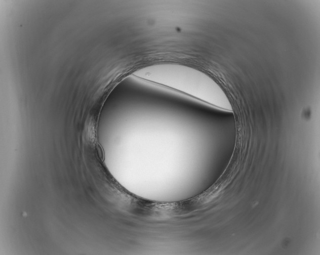 X0000092090143200709121134