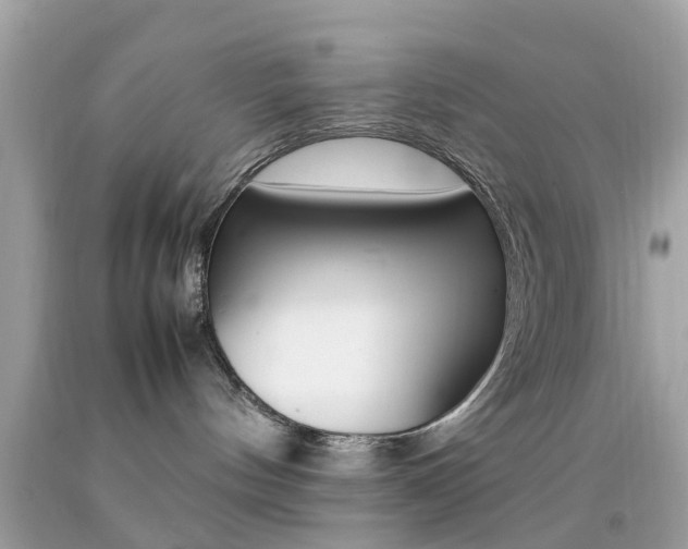 X0000092090144200709121134