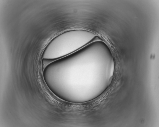X0000092090145200709121133