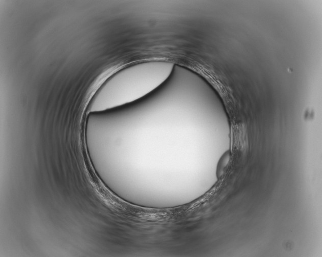 X0000092090147200709121133