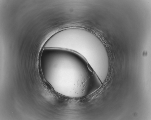 X0000092090148200709121133