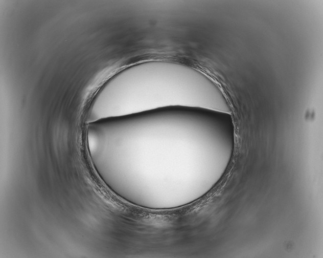 X0000092090149200709121133