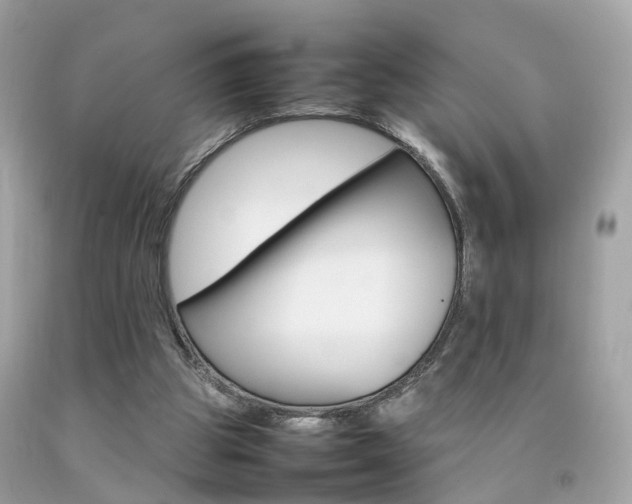 X0000092090153200709121133