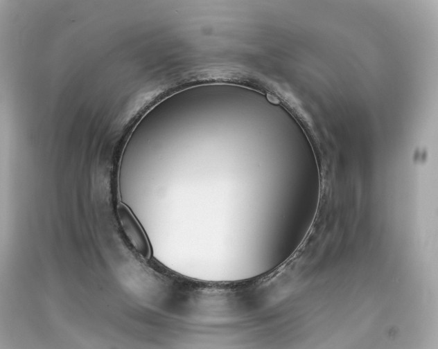 X0000092090154200709121133