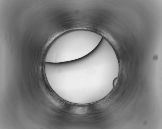 X0000092090155200709121133