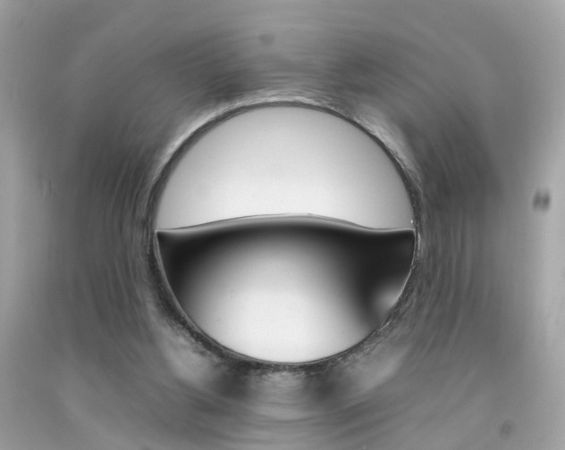 X0000092090156200709121133