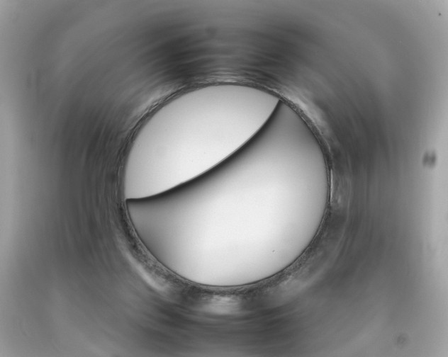 X0000092090157200709121133