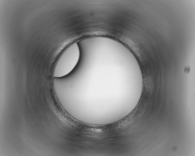 X0000092090159200709121133