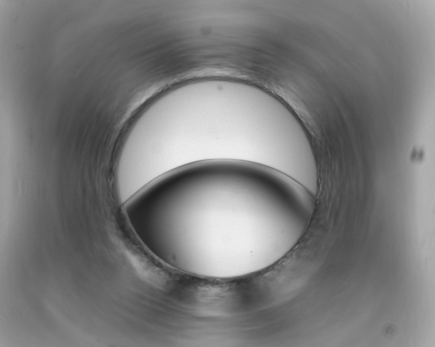 X0000092090160200709121133