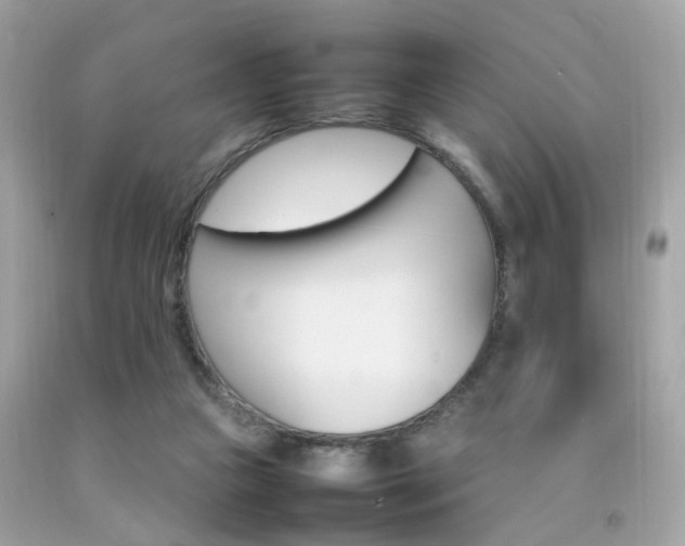 X0000092090161200709121133