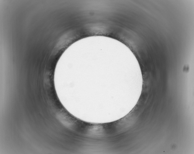 X0000092090162200709121133