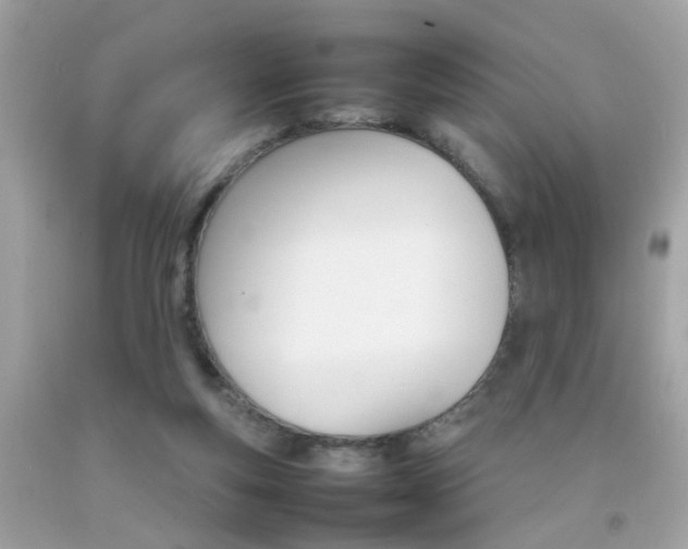 X0000092090163200709121133