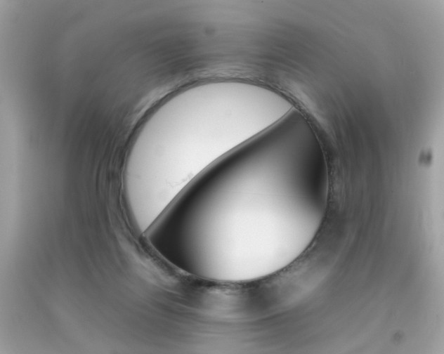 X0000092090164200709121133