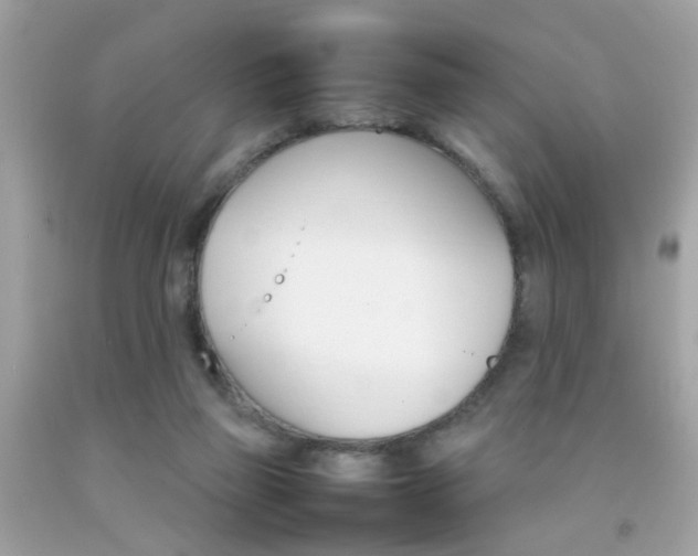 X0000092090165200709121133