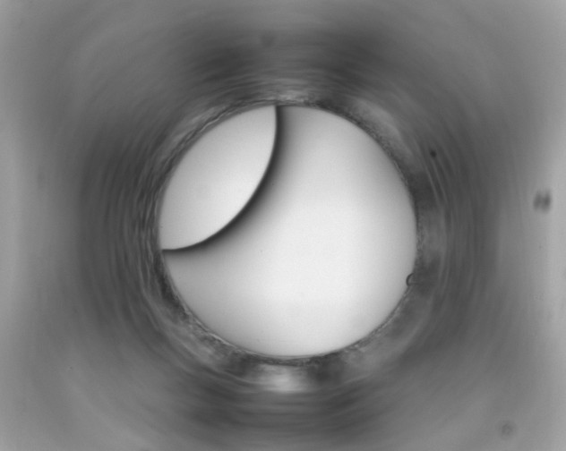 X0000092090167200709121133