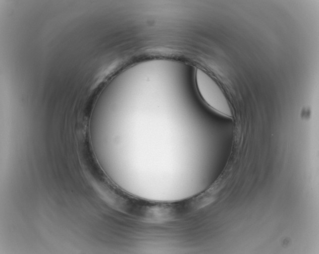 X0000092090168200709121133