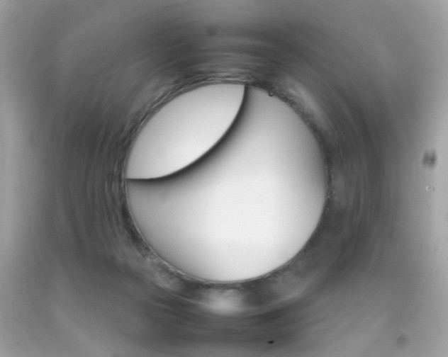 X0000092090169200709121133